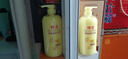 蜂花護(hù)發(fā)素套裝柔順營養(yǎng)小麥蛋白1L*3+生姜健發(fā)洗護(hù)100mlx2 曬單實(shí)拍圖