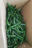 辰實(shí)【現(xiàn)貨】新鮮青朝天椒 青小米辣 現(xiàn)摘小尖椒特辣 5斤 【新鮮采摘】劃算 曬單實(shí)拍圖