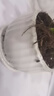 京云夢 鴨腳木七葉蓮八方來財花卉植物小綠植七葉蓮+白色陶瓷盆源頭直發(fā) 曬單實拍圖