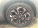 鄧祿普（DUNLOP）輪胎/汽車輪胎 185/60R16 86H ENASAVE EC300+ 本田 FIT CROSS 曬單實拍圖