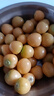 果犇犇東北姑娘果特大應(yīng)季燈籠果水果新鮮現(xiàn)貨甜菇?jīng)霎?dāng)季整箱黃菇娘果 1斤精品裝 曬單實拍圖