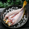黃小漁寧德黃魚(yú)鲞400g/2條 三去大黃魚(yú)黃花魚(yú)生鮮 海鮮水產(chǎn)燒烤夜宵魚(yú)類(lèi) 曬單實(shí)拍圖