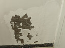 小匠材3.6斤防水補(bǔ)墻膏白色墻面修補(bǔ)膏膩?zhàn)臃垩a(bǔ)墻漆墻體裂縫修復(fù)膏涂料 曬單實(shí)拍圖