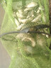 逸釣者日本原絲進(jìn)口釣魚(yú)主線(xiàn)組全套成品魚(yú)線(xiàn)主線(xiàn)套裝綁好釣魚(yú)線(xiàn)秒換子線(xiàn) 3.6米八字環(huán) 1.5 曬單實(shí)拍圖