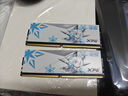 威剛（ADATA）XPG龍耀D500G吹雪聯(lián)名DDR5臺(tái)式內(nèi)存條C28時(shí)序嚴(yán)選海力士Adie顆粒ddr5內(nèi)存條燈條套裝9800X3D專用 【9800X3D專用】6000 16*2吹雪C28 曬單實(shí)拍圖