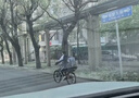 阿尤布山地自行車后車筐后座架置物筐不銹鋼籃子后置折疊單車籃筐簍藍(lán)框 曬單實拍圖