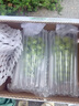 玖原農珍四川陽光玫瑰葡萄凈果2.5斤單果8-12g 現(xiàn)摘新鮮水果禮盒 曬單實拍圖