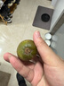 靜益樂源紅心果奇異果 紅心獼猴桃 新鮮水果四川 24個單果70-90g 曬單實拍圖
