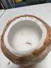 南步海南椰青 現(xiàn)摘易開口椰香皇去皮香水奶香椰子雞生椰孕婦新鮮水果 6個(gè) 精品裝【單果2-3斤】 曬單實(shí)拍圖
