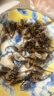 蝎子油炸全蝎沂蒙山活蝎子食品現(xiàn)炸十足全蝎開袋即食中藥食用藥用 50只成年蝎【5到6厘米】香辣味 曬單實(shí)拍圖