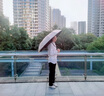 威爾基雨傘傘雨傘全自動(dòng)遮陽(yáng)傘自動(dòng)太陽(yáng)傘大號(hào)兩用超大號(hào)便攜晴雨防暴雨 梧桐米色10骨自動(dòng)雨傘 曬單實(shí)拍圖
