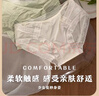 北極絨3條蕾絲內(nèi)褲女性感純欲風(fēng)舒適女士內(nèi)褲蕾絲少女中腰透氣三角底褲 曬單實(shí)拍圖