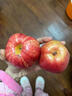 式果禮陜西彩虹梨【順豐】彩紅梨香梨早酥蜜梨大梨子七彩紅啤梨新鮮水果 9斤 精選中果【單果約120g+】 曬單實拍圖