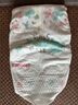 好奇（Huggies）皇家小龍褲紙尿褲中號(hào)M46(6-11kg)超薄透氣尿不濕 曬單實(shí)拍圖