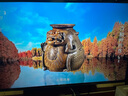 TCL雷鳥 鵬7 25款 一級(jí)能效版 65英寸 288Hz 4+64GB 家電國(guó)家補(bǔ)貼超薄液晶平板電視機(jī)65S386C Pro-JN 曬單實(shí)拍圖