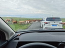 綠聯(lián)  車(chē)載手機支架 MagSafe磁吸支架適用于汽車(chē)中控臺真空吸盤(pán)吸附汽車(chē)導航支架桌面固定追劇新款支架 720°廣角/MagSafe強磁吸/桌面車(chē)載 曬單實(shí)拍圖