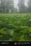 小米15/14/13pro/ultra/mix/fold折疊屏二手手機(jī)詳見(jiàn)質(zhì)檢報(bào)告國(guó)行優(yōu)惠券補(bǔ)貼 小米 10S 曬單實(shí)拍圖