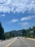 江中益生菌【2個月周期裝】12000億成人兒童孕婦中老年人腸胃調(diào)理活菌 曬單實拍圖