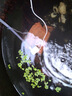 珠葛亮省電型太陽(yáng)能水泵魚(yú)池假山抽水機潛水增氧微小型水循環(huán)流水過(guò)濾器 3.3w板+120L省電白泵+管 0.9米 曬單實(shí)拍圖