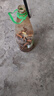 榮耀Magic7 榮耀AI鷹眼相機(jī) 驍龍8至尊版 榮耀AI自然光綠洲護(hù)眼屏 16+512 月影灰 5G AI手機(jī) 國(guó)家補(bǔ)貼 曬單實(shí)拍圖