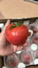 京鮮生沙瓤粉西紅柿 凈重3斤 單果100g+果菜兩吃 源頭直發(fā) 【搜生鮮館】 曬單實拍圖