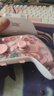 aolion澳加獅福音K20游戲手柄Pro無線PC電腦版Steam空洞騎士絲之歌Switch2黑神話悟空NS2安卓手機iPad 福音K20游戲手柄EVA粉色 曬單實拍圖