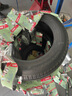 米其林（MICHELIN） 浩悅5 PRIMACY 5 米其林輪胎 215/60R16 99V適配雅閣凱美瑞奧德賽 汽車輪胎 曬單實(shí)拍圖