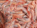 鮮京采 原裝進口格陵蘭北極甜蝦刺身2斤裝 90-150只/kg 即食 MSC認證 曬單實拍圖