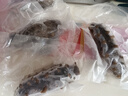 三只海豚 即食海參 大連鮮食刺參單個裝 高品質遼刺參13-17只固形物≥60% 曬單實拍圖