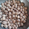 博多客肉蔻 肉豆蔻 玉果香果 家用調(diào)料 調(diào)味品 調(diào)味料 去腥解膩 香料 100g 曬單實拍圖