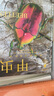 中國國家地理普林斯頓大學(xué)生物圖鑒 昆蟲自然百科科普讀物書籍 真菌+病毒+飛蛾+甲蟲（四冊套裝） 曬單實(shí)拍圖