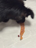 HELLOJOY 狗狗零食寵物泰迪金毛幼犬成犬訓(xùn)練獎(jiǎng)勵(lì) 營(yíng)養(yǎng)牛肉粒450g 曬單實(shí)拍圖