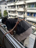 海爾空調(diào)掛機(jī) 2匹一級能效 家用臥室客廳變頻冷暖壁掛式自清潔KFR-50GW/22KEA81U1 2匹 一級能效 【旗艦店】 曬單實拍圖