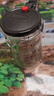 茶壺泡茶杯家用茶具茶水分離濾茶器燒水壺玻璃飄逸杯泡茶壺個(gè)人 【高硅防爆】茶水杯500ML 曬單實(shí)拍圖