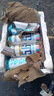 沃尼伯格沃尼伯格精釀啤酒白啤全麥14度整箱500ml*12罐瓶裝高度酒非臨期酒 精釀白啤 500mL 24瓶 組合裝 曬單實(shí)拍圖