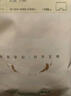 全棉時代兒童內(nèi)褲男女童平角褲7A抗菌四角印花 糖果兔兔+晨霧紫+嫩黃 曬單實拍圖