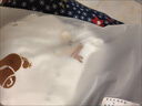 小巧狐2025新款嬰兒褲子新生兒開(kāi)襠褲男女寶寶彩棉單長(zhǎng)褲空調(diào)褲睡褲MWN 天藍(lán)布標(biāo)-貓 59cm 曬單實(shí)拍圖