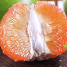 京鮮生 云南翡翠紅心柚 2粒裝 單果800g起 生鮮水果 源頭直發(fā)包郵 曬單實(shí)拍圖