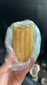 京鮮生東北白糯玉米250g*10棒 新鮮甜糯玉米棒真空包裝粘玉米 源頭直發(fā) 曬單實拍圖