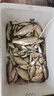 JCZS氨基酸生鮮嫩玉米釣魚餌料野釣鯉魚草魚鳊魚翹嘴專用打窩釣餌黑坑 瓶裝220g爆護(hù)大瓶裝 曬單實拍圖