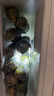 京鮮生云南水果玉米 凈重5斤單果280g+ 甜玉米棒新鮮蔬菜應(yīng)季 源頭直發(fā) 曬單實(shí)拍圖