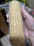 京鮮生 東北白糯玉米230g*8棒 新鮮甜糯玉米棒真空包裝粘玉米 源頭直發(fā) 曬單實(shí)拍圖