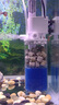 JCZS德國魚缸過濾制氧一體機(jī)超靜音客廳循環(huán)水泵凈水器三合一魚馬桶 【7W】五合一(20-30CM缸用) 曬單實拍圖