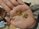 謝瑞麟黃金素鏈女愛心肖邦鏈足金項鏈調(diào)節(jié)送女友老婆七夕節(jié)生日禮物計價 足金愛心肖邦鏈約2.3克 曬單實拍圖
