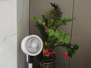 耐也【300平全屋降溫丨秒降16℃】電風(fēng)扇靜音臥室超靜音一級(jí)能效風(fēng)扇制冷空調(diào)扇家用落地扇空氣循環(huán)扇 【空調(diào)級(jí)冷風(fēng)】200m制冷降溫-靜音恒冷-機(jī)械省電 曬單實(shí)拍圖