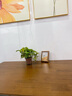 筑勝 橡膠木實(shí)木餐桌現(xiàn)代簡(jiǎn)約胡桃色長形家用飯桌B款130*80*75 曬單實(shí)拍圖