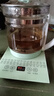 半球（PESKOE）養(yǎng)生壺?zé)畨責(zé)崴畨睾銣貕刂蟛鑹嘏莶鑹匾惑w玻璃全自動(dòng)小家用多功能辦公室大容量1.8L綠色 綠色 1.8L 半球養(yǎng)生壺 曬單實(shí)拍圖