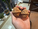 山中玉核桃文玩特大文玩核桃精品四座樓獅子頭把玩手把件精品七夕禮物 四座樓45mm左右 曬單實(shí)拍圖