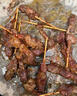 大希地安格斯牛肉串240g*3袋+羊肉串240g*2袋 腌制入味燒烤露營食材 曬單實拍圖