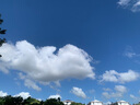 初中數(shù)學(xué)幾何嚴(yán)選120題 三角形全等 曬單實(shí)拍圖